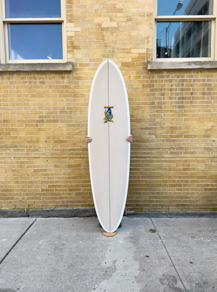 A Rainbow Surfboards 7'4" Egg for sale
