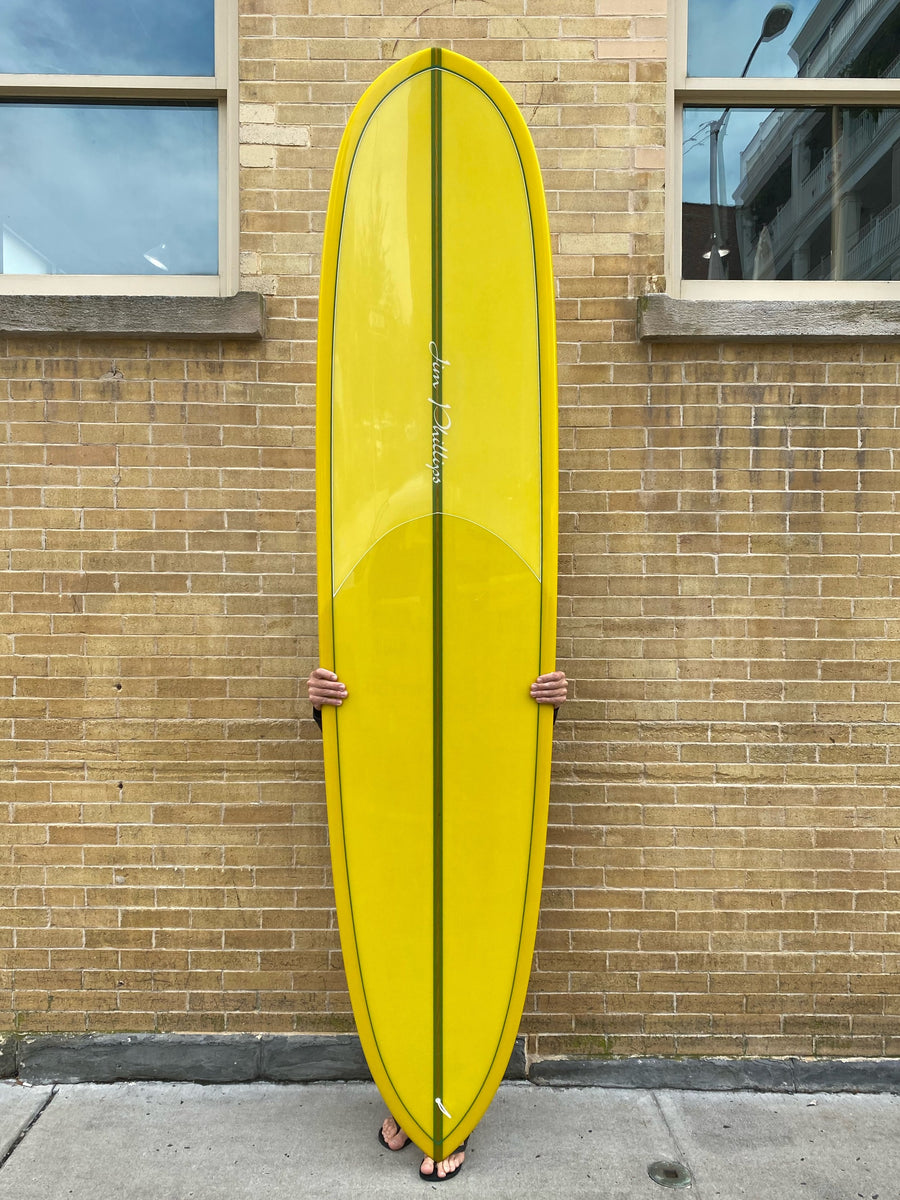 9-1-Jim-phillips-SWT-pintail-